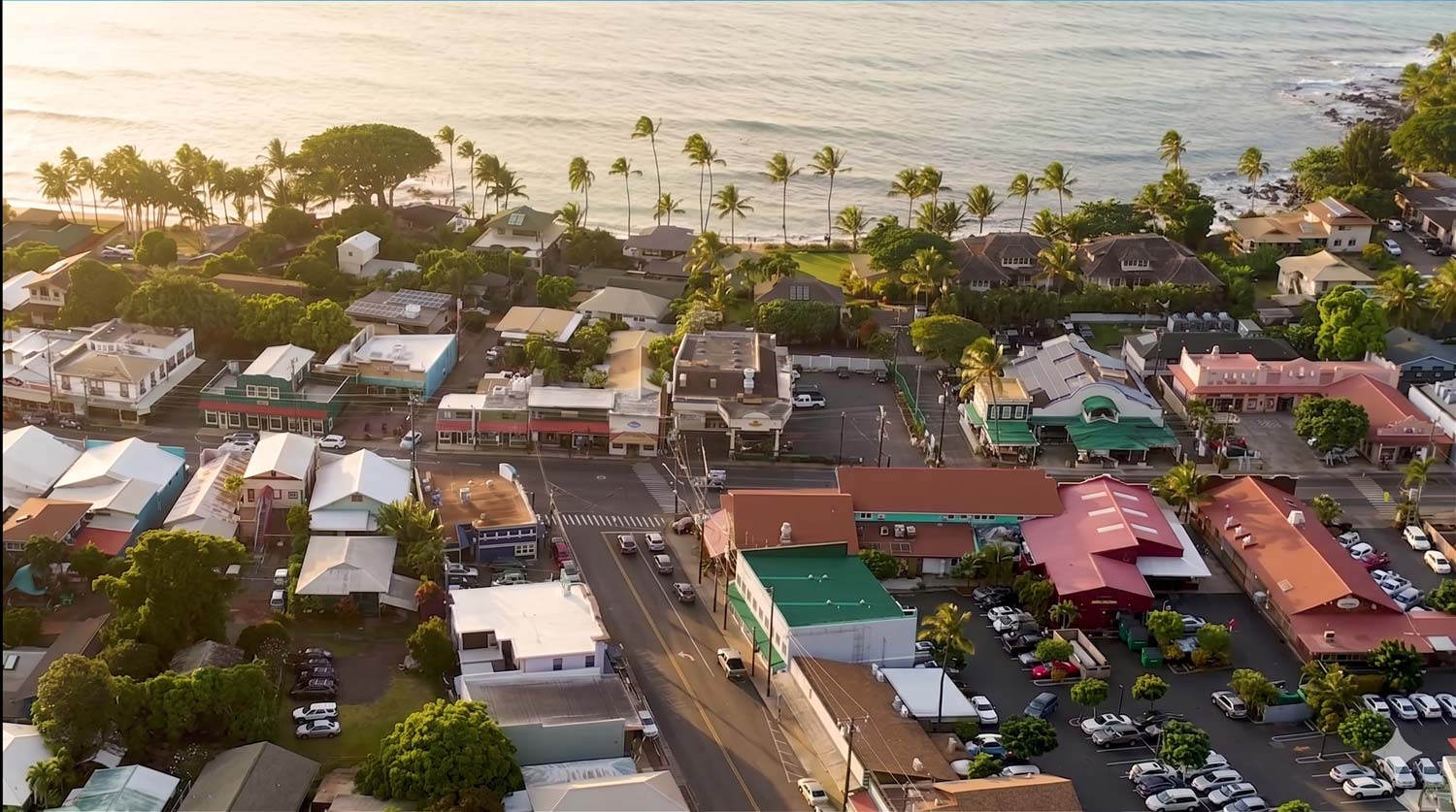 The Technology Tax: How Silicon Valley Extracts Millions from Maui's Small Businesses
